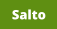 Salto